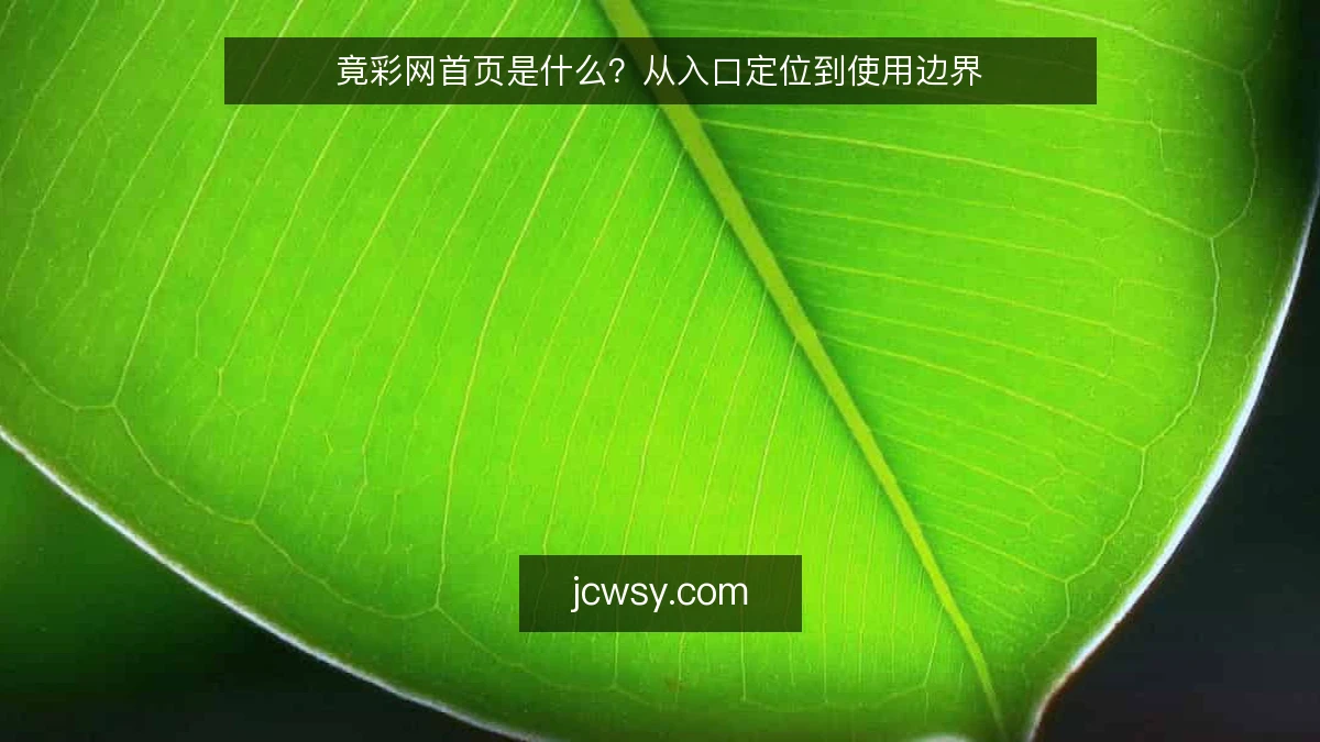 竟彩网首页是什么？从入口定位到使用边界