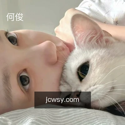 何俊